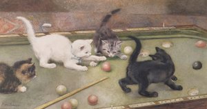 Bar Billiards by Rosa Jameson